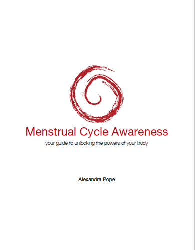 Ebook Ciclo Menstrual Consciente - Eco-etico.com